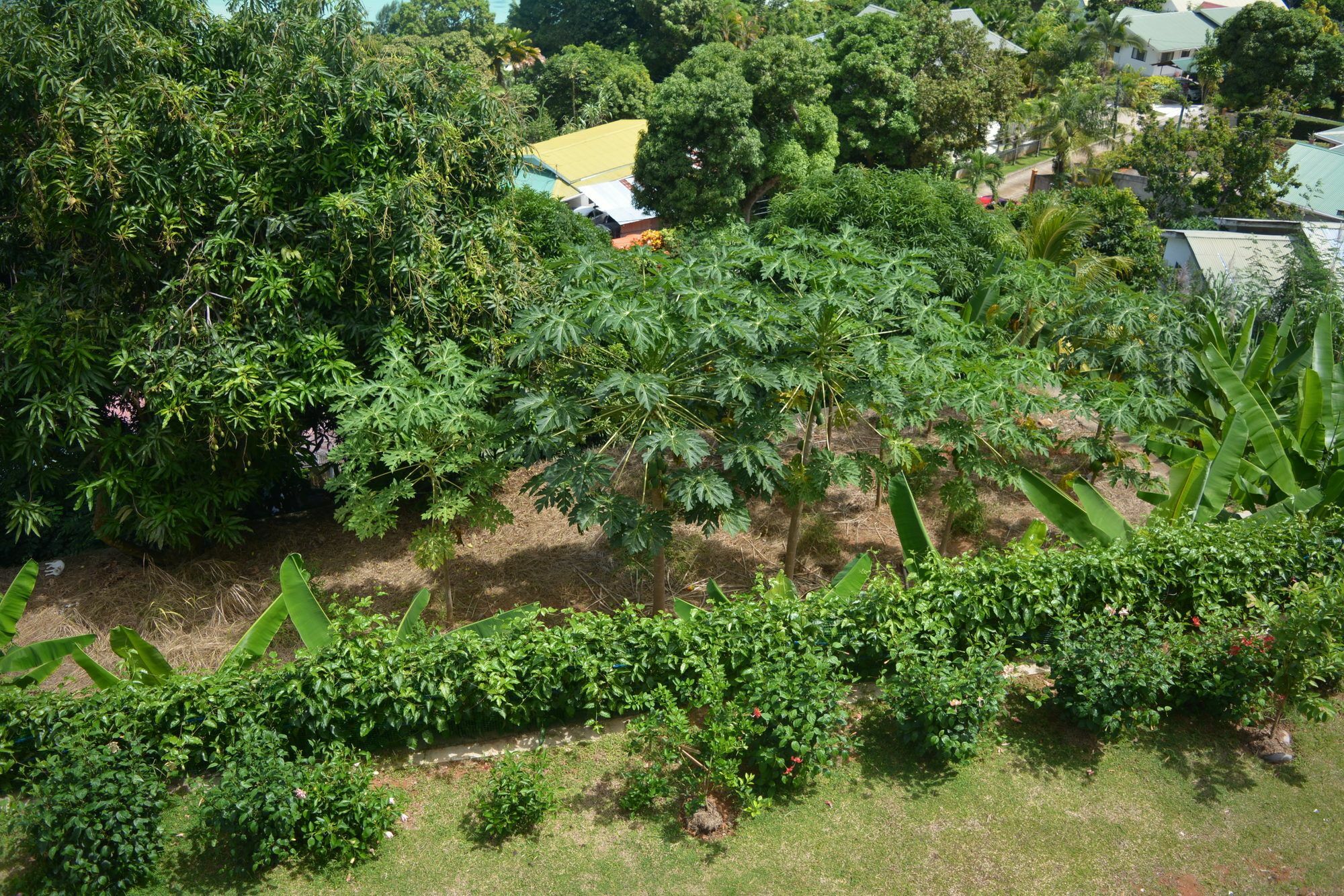 Manfiyo Guest House Anse Boileau 외부 사진